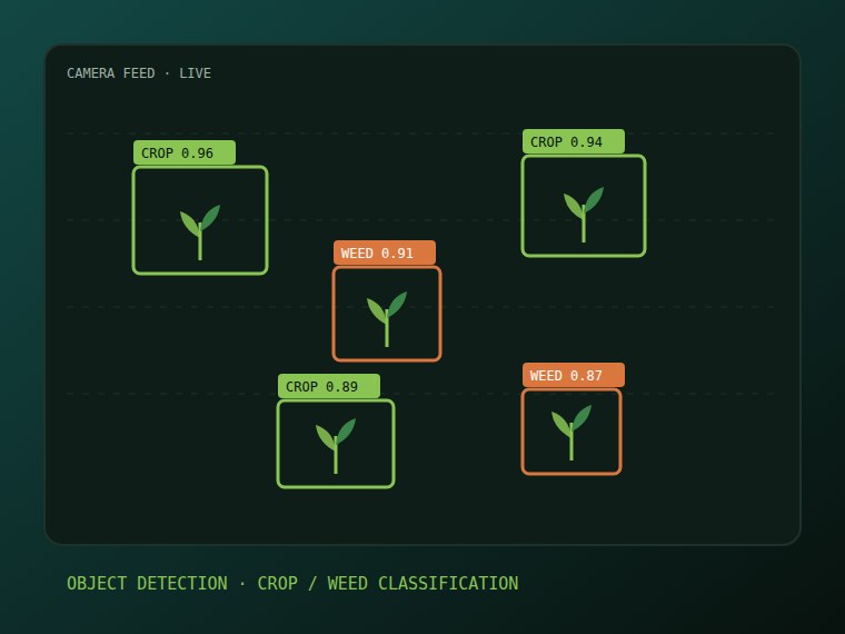 Computer vision and object identification